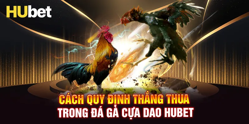 Cách quy định thắng thua của 1 trận đấu đá gà cựa dao HUBET