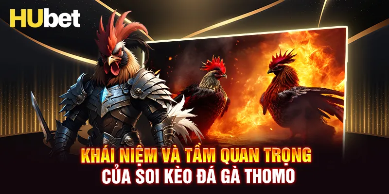 Khái niệm và tầm quan trọng của soi kèo đá gà Thomo