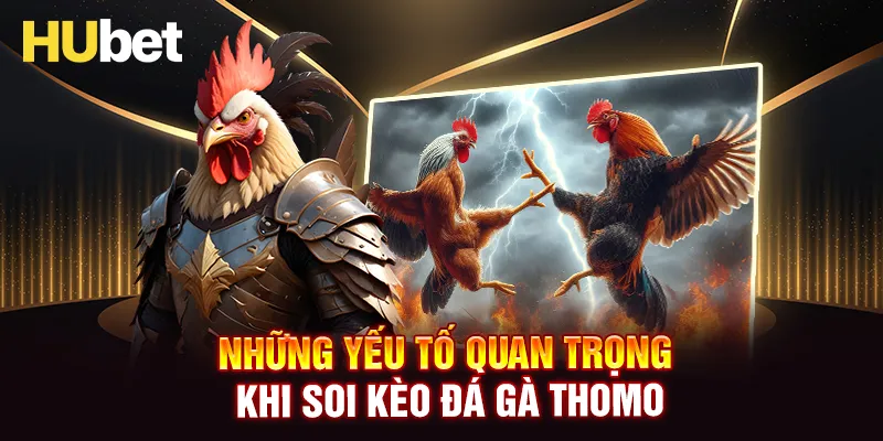 Các yếu tố ảnh hưởng đến việc soi kèo đá gà Thomo