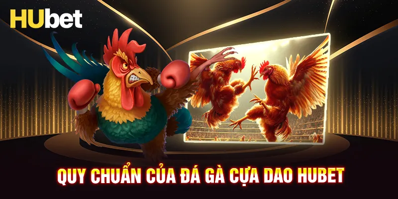 Quy chuẩn trong đá gà cựa dao HUBET